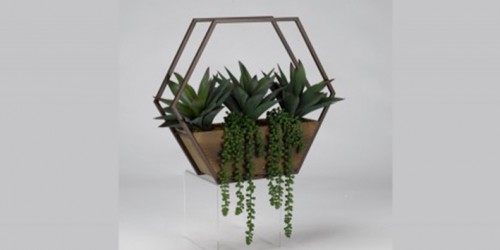 ALOE PLANTS & PEARLS IN WOOD METAL WALL SCONCE